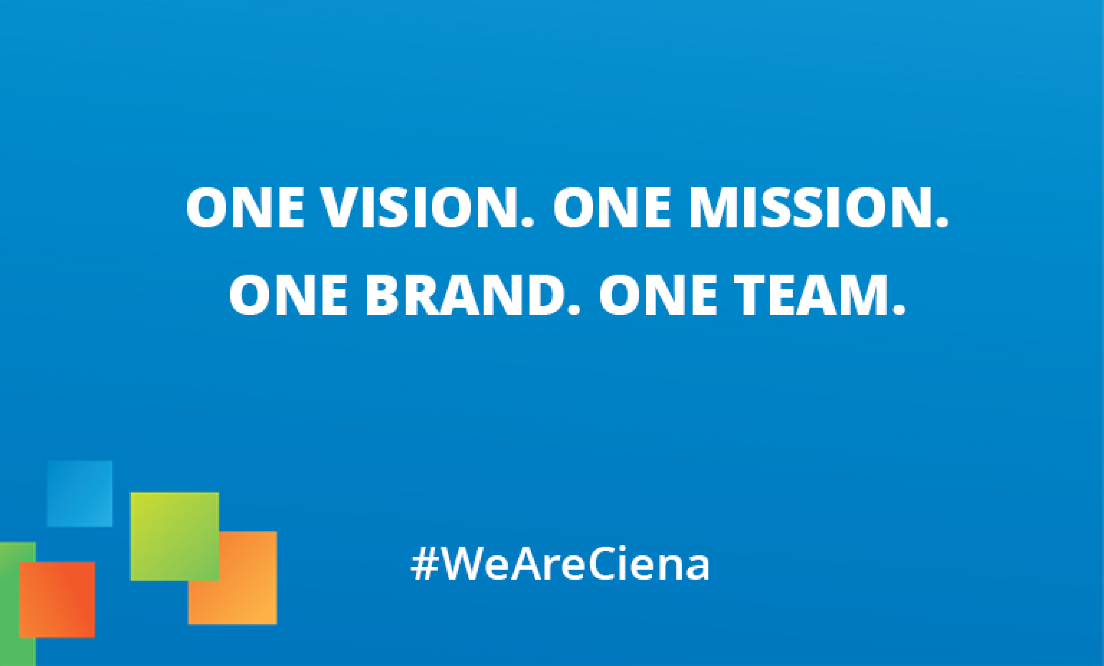 One Vision. One Mission. One Brand. One Team.